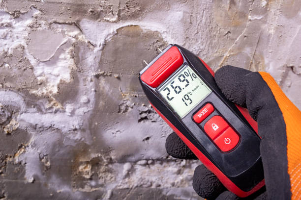 Best Bathroom Mold Remediation in Manson, WA