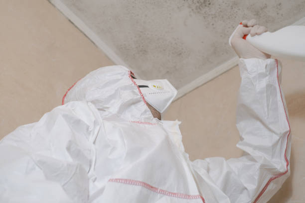 Best Emergency Mold Remediation in Manson, WA